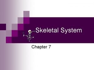 Skeletal System Chapter 7 Bone Basics n Osseous