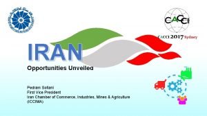 CACCI IRAN Opportunities Unveiled Pedram Soltani First Vice