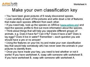 Classification keys worksheet