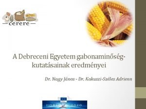 A Debreceni Egyetem gabonaminsgkutatsainak eredmnyei Dr Nagy Jnos