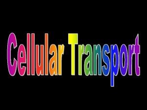 RememberPlasma Membrane Outer membrane of cell that controls