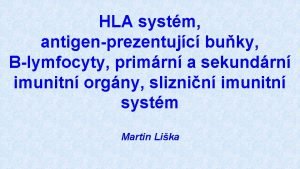 HLA systm antigenprezentujc buky Blymfocyty primrn a sekundrn