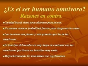 Omnivoro ser humano