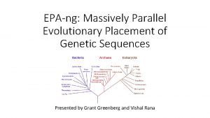 EPAng Massively Parallel Evolutionary Placement of Genetic Sequences