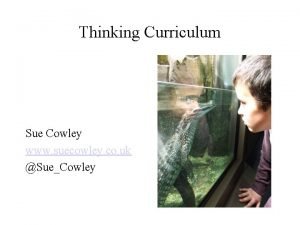 Thinking Curriculum Sue Cowley www suecowley co uk
