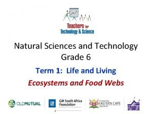 Different ecosystems grade 6