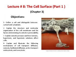 Modern cell theory