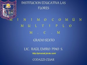 INSTITUCION EDUCATIVA LAS FLORES M I N I