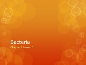 Bacteria Chapter 2 Lesson 2 Cell Structure Prokaryotic