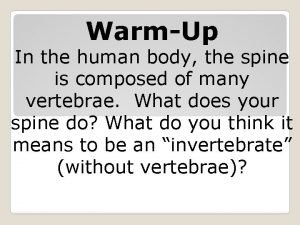 External fertilization in invertebrates