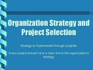 Organization strategy and project selection