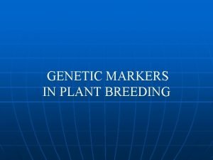 GENETIC MARKERS IN PLANT BREEDING Marker Gene of