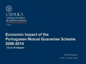 Economic Impact of the Portuguese Mutual Guarantee Scheme