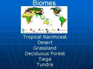 Terrestrial only Terrestrial only