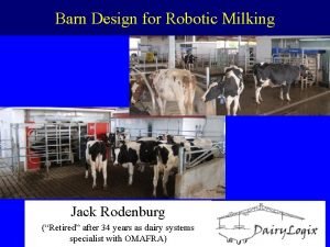 Robot dairy barn design