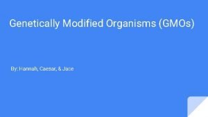 Genetically Modified Organisms GMOs By Hannah Caesar Jace