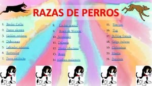 RAZAS DE PERROS 1 2 3 4 5