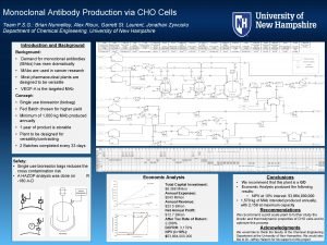 Monoclonal antibody production in cho cells