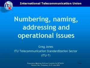 International Telecommunication Union Numbering naming addressing and operational