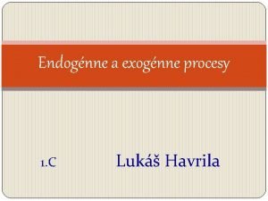 Endognne a exognne procesy 1 C Luk Havrila