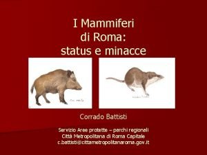 I Mammiferi di Roma status e minacce Corrado