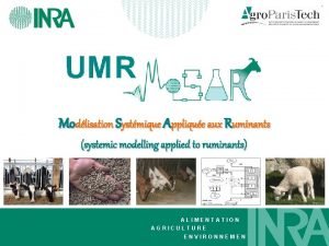 Modlisation Systmique Applique aux Ruminants systemic modelling applied