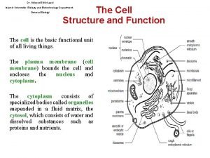 Dr Abboud El Kichaoui The Cell Structure and