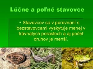 Lucne a polne stavovce