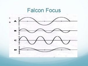 Falcon focus