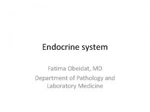 Endocrine system Fatima Obeidat MD Department of Pathology