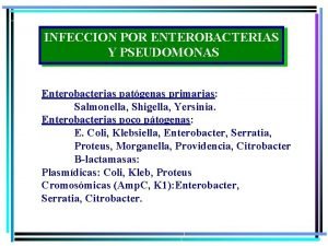 INFECCION POR ENTEROBACTERIAS Y PSEUDOMONAS Enterobacterias patgenas primarias