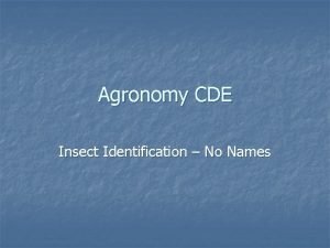 Agronomy CDE Insect Identification No Names Destruction by