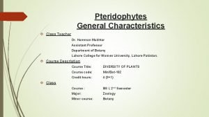 Pteridophytes General Characteristics Class Teacher Dr Hannnan Mukhtar