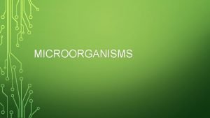 MICROORGANISMS WHAT ARE ORGANISMS Any living thing Includes