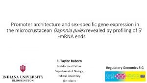 Promoter architecture and sexspecific gene expression in the