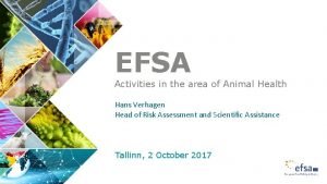 Efsa organisational chart