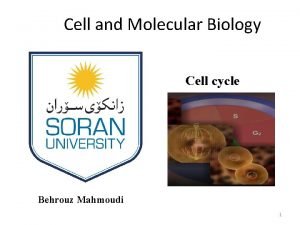 Cell and Molecular Biology Cell cycle Behrouz Mahmoudi