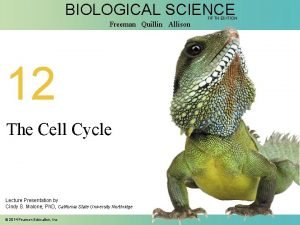 BIOLOGICAL SCIENCE Freeman Quillin Allison 12 The Cell