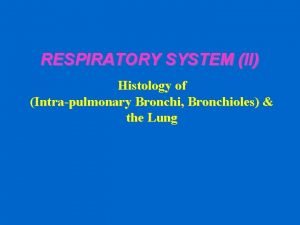 What is pneumocyte