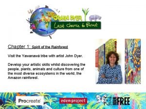 John dyer rainforest