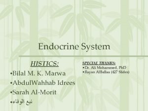 Endocrine System HISTICS Bilal M K Marwa Abdul
