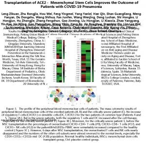 Transplantation of ACE 2 Mesenchymal Stem Cells Improves