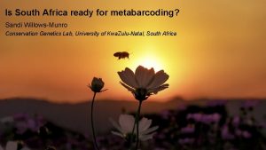 Is South Africa ready for metabarcoding Sandi WillowsMunro