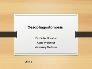 Oesophagostomosis Dr Pallav Shekhar Asstt Professor Veterinary Medicine