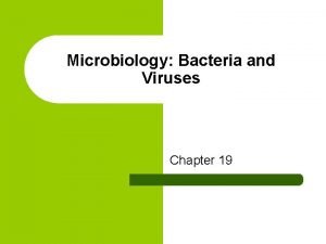 Microbiology Bacteria and Viruses Chapter 19 I Classification