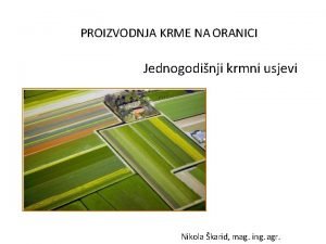 PROIZVODNJA KRME NA ORANICI Jednogodinji krmni usjevi Nikola