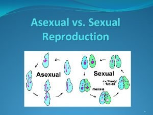 The disadvantages of sexual reproduction