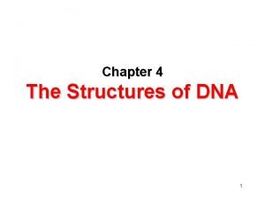 Stacking interaction in dna