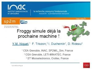 PHYSIQUE DES MATERIAUX ET DES MICROSTRUCTURES Froggy simule