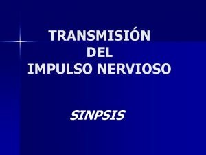 TRANSMISIN DEL IMPULSO NERVIOSO SINPSIS HENDIDURA SINPTICA ANGSTRM